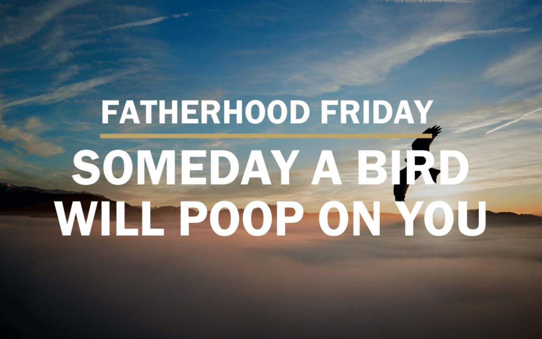 Someday A Bird Will Poop On You | FATHERHOOD FRIDAY